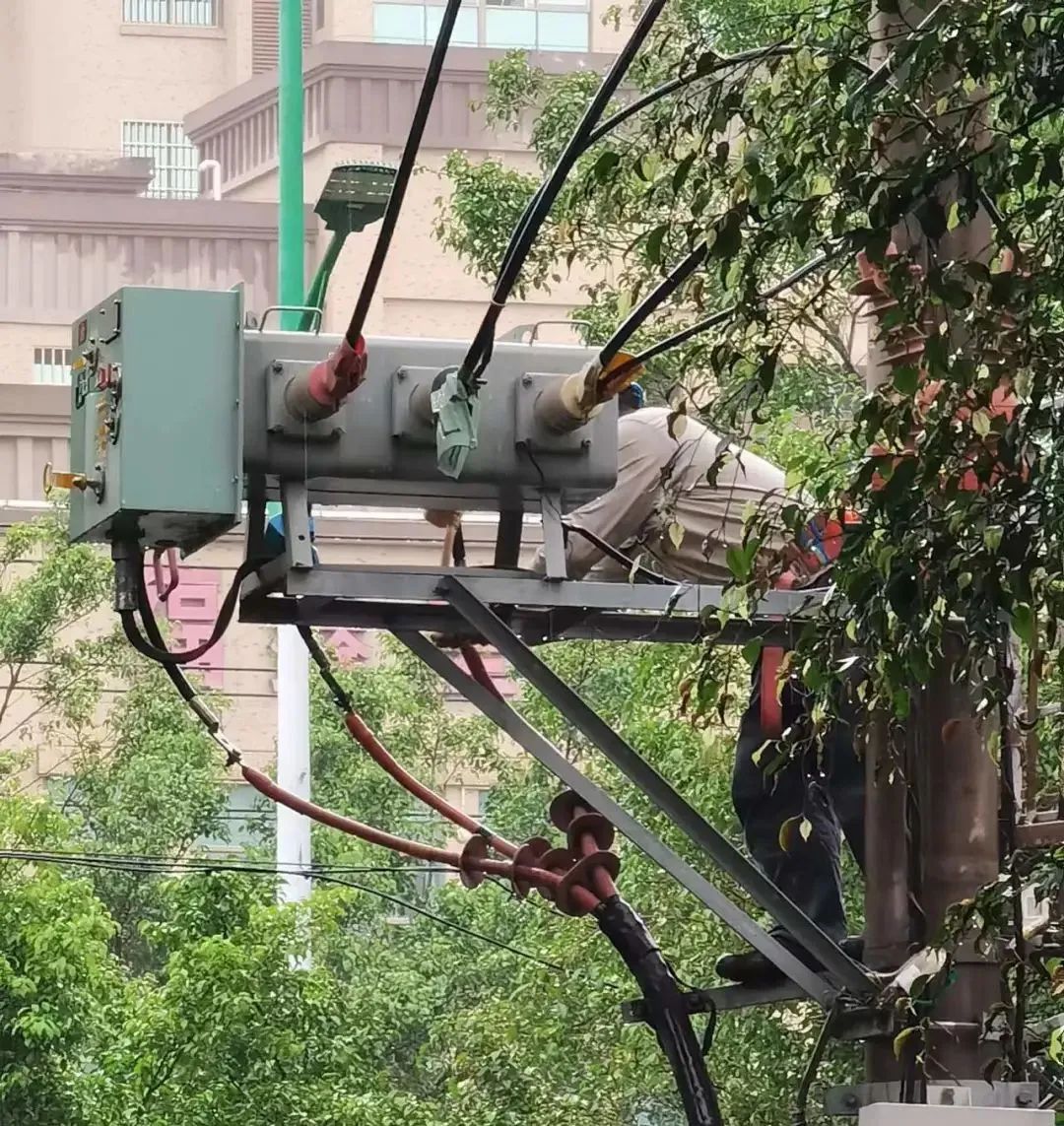 9393体育·(中国)官方网站