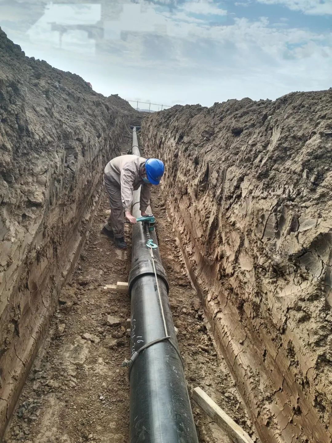 9393体育·(中国)官方网站